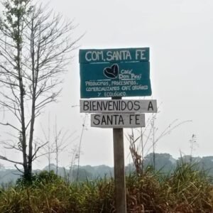 whatsapp image 2025 10 28 at 3.57.29 pm